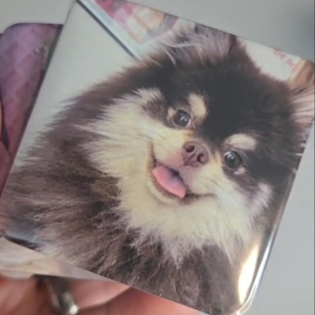 Magnetized Memories Collection