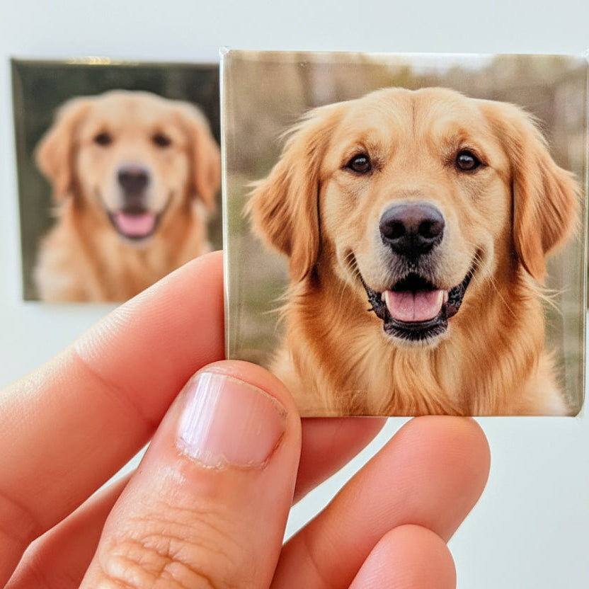 Magnetized Memories Collection